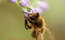 激活门户可靠的DDOS压力测试网页端