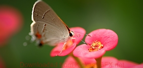 免费ddos在线攻击