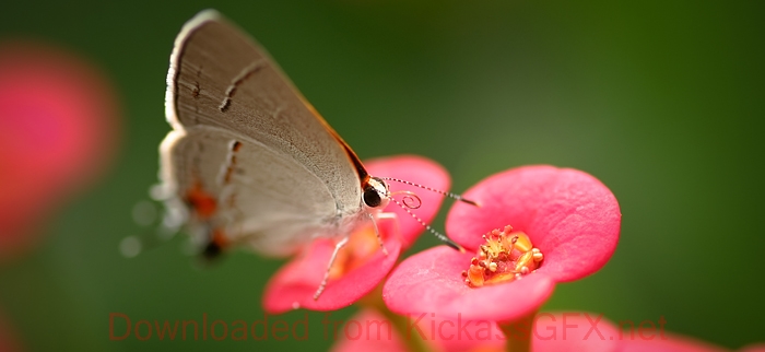 攻击网站的方法